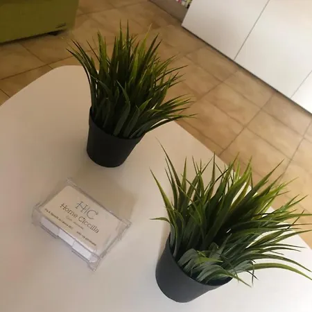 Ciccilla Дом отдыха *