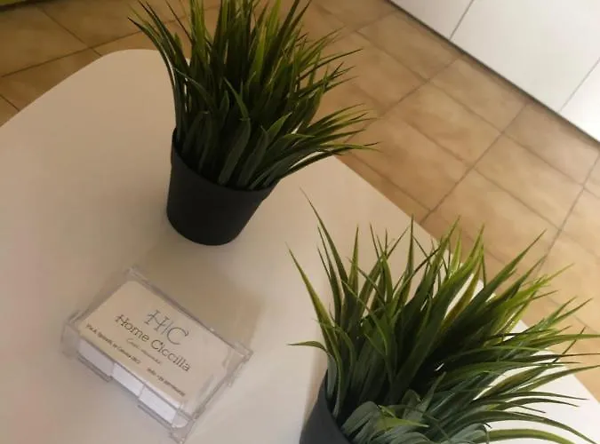 Ciccilla Casa de Férias *